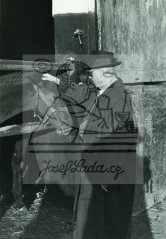Jaro, 1954