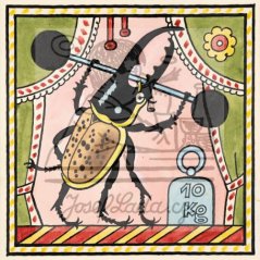 Ladovy veselé učebnice: Brouci a hmyz - Herkules 1932