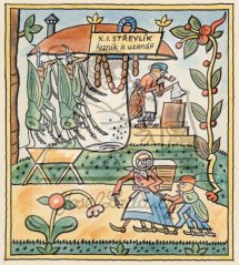 Kvítko z čertovy zahrádky - Zaražená chuť 1930