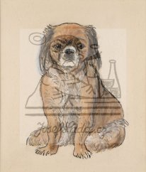 Studie psa 1925