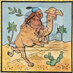 Ladovy veselé učebnice: Savci - Velbloud 1925