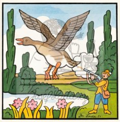 Moje abeceda - Husička divoká 1952