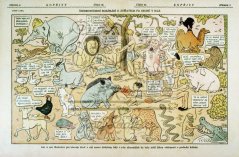 Kopřivy - Šťedrovečerní rozjímání o zvířatech podruhé v ráji 1916