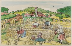 Žně 1950