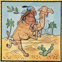 Ladovy veselé učebnice: Savci - Velbloud 1925