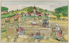 Žně 1950