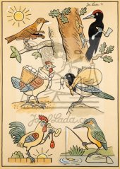 Ladův veselý přírodopis - Slavík, datel, kvočna, straka, kohout a ledňáček 1949