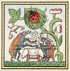 Ladovy veselé učebnice: Brouci a hmyz - Slunéčko sedmitečné 1932