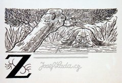 Sen májové noci - Život pod vodou 1918