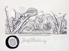 Sen májové noci - Bařina 1918