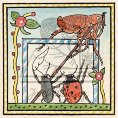 Ladovy veselé učebnice: Brouci a hmyz - Blecha 1932