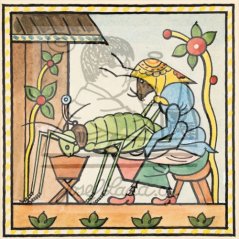 Ladovy veselé učebnice: Brouci a hmyz - Mšice 1932