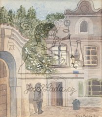 V Lužické ulici 1951