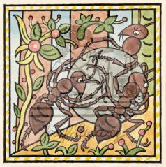 Ladovy veselé učebnice: Brouci a hmyz - Mravenci 1932