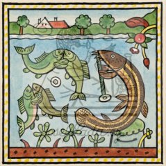 Ladovy veselé učebnice: Obojživelníci, ryby a plazi - Piskoř 1932