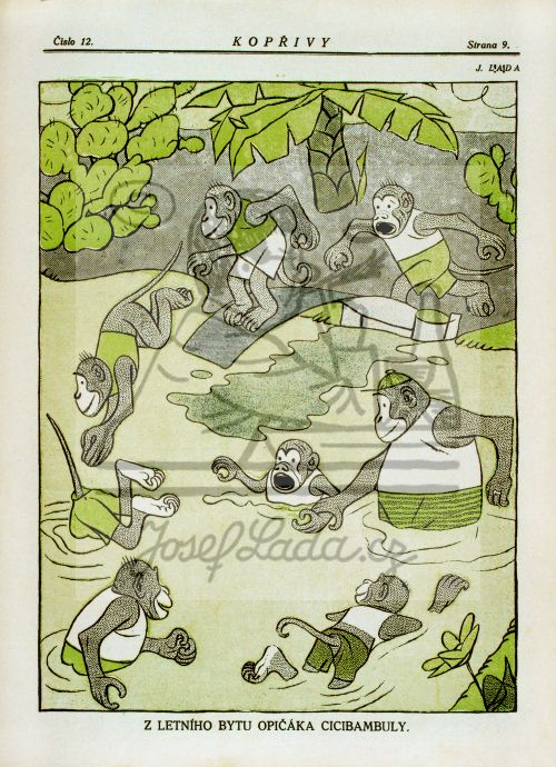 Kopřivy - Z letního bytu opičáka Cicibambuly 1918