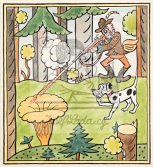 Kvítko z čertovy zahrádky - Neuvěřitelná historie 1935