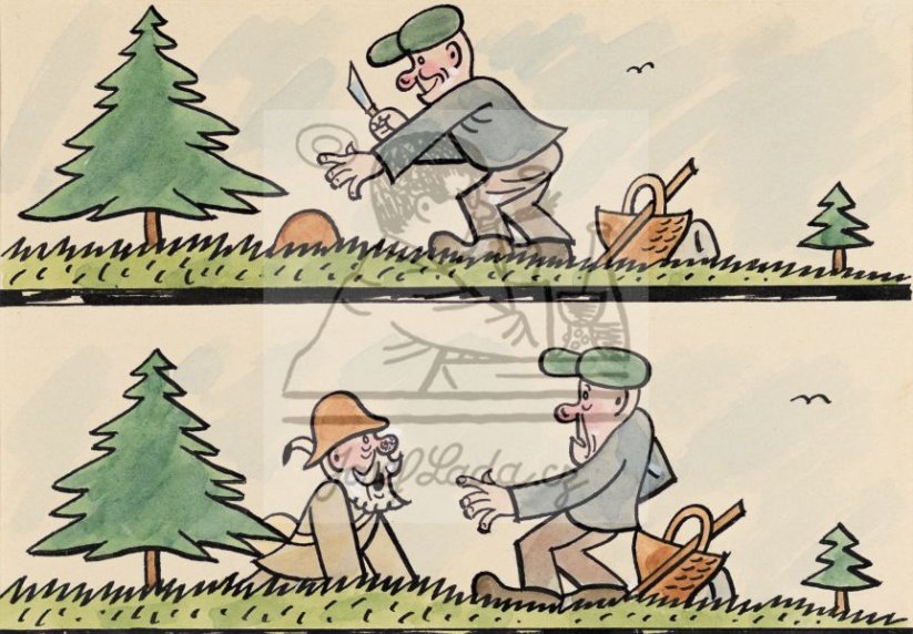 Kvítko z čertovy zahrádky - To je ale hřib!