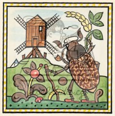 Ladovy veselé učebnice: Brouci a hmyz - Mlynařík 1932